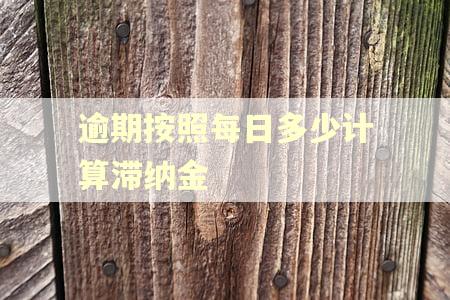 逾期按照每日多少计算滞纳金