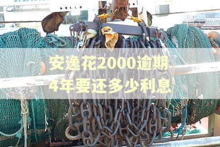 安逸花2000逾期4年要还多少利息