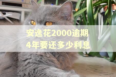 安逸花2000逾期4年要还多少利息