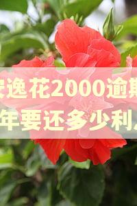 安逸花2000逾期4年要还多少利息 安逸花2000逾期4年要还多少利息