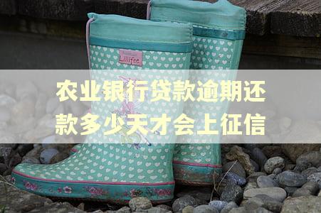 农业银行贷款逾期还款多少天才会上征信