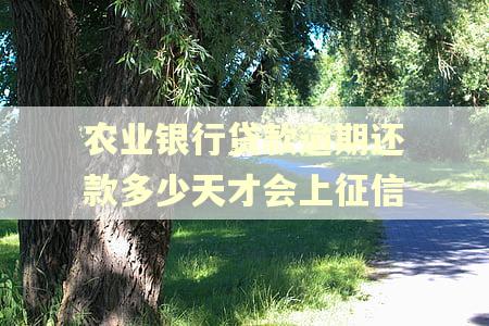 农业银行贷款逾期还款多少天才会上征信