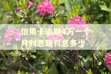 信用卡逾期4万一个月利息跟罚息多少
