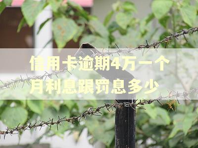 信用卡逾期4万一个月利息跟罚息多少 信用卡逾期4万一个月利息跟罚息多少