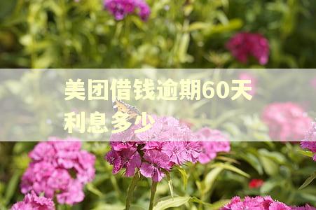美团借钱逾期60天利息多少