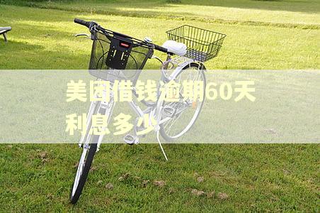 美团借钱逾期60天利息多少
