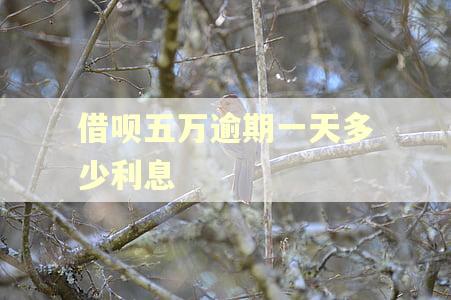 借呗五万逾期一天多少利息