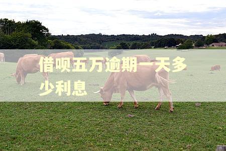借呗五万逾期一天多少利息