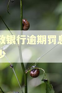 邮政银行逾期罚息是多少 邮政银行逾期罚息是多少