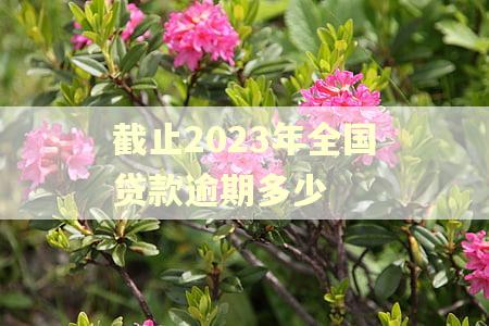 截止2023年全国贷款逾期多少