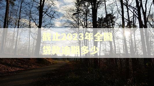 截止2023年全国贷款逾期多少