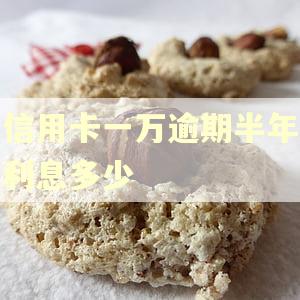 信用卡一万逾期半年利息多少