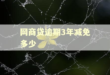 网商贷逾期3年减免多少