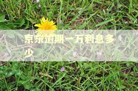 京东逾期一万利息多少