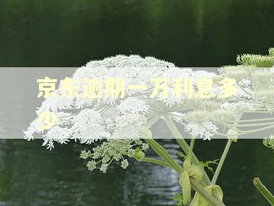 京东逾期一万利息多少