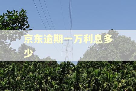 京东逾期一万利息多少 京东逾期一万利息多少