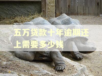 五万贷款十年逾期还上需要多少钱