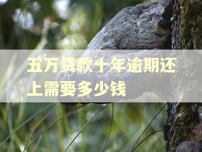 五万贷款十年逾期还上需要多少钱