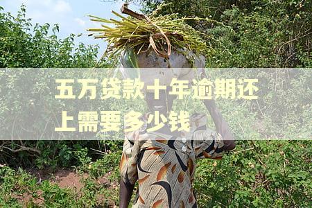 五万贷款十年逾期还上需要多少钱 五万贷款十年逾期还上需要多少钱
