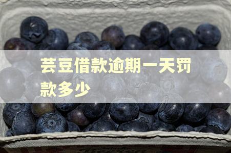 芸豆借款逾期一天罚款多少