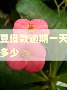 芸豆借款逾期一天罚款多少 芸豆借款逾期一天罚款多少