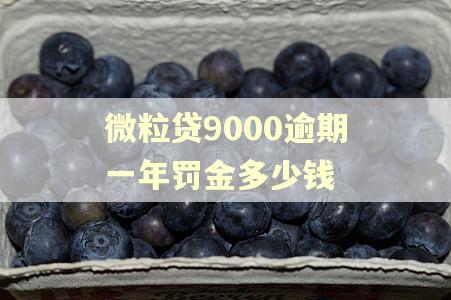 微粒贷9000逾期一年罚金多少钱