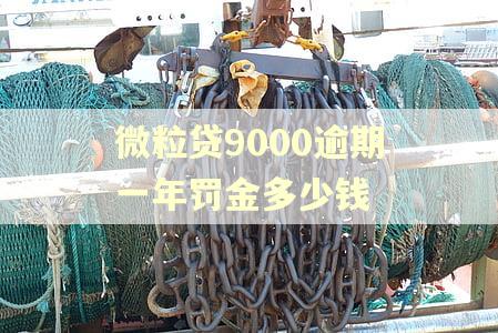 微粒贷9000逾期一年罚金多少钱 微粒贷9000逾期一年罚金多少钱