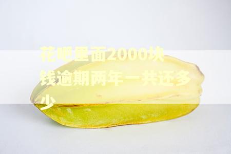 花吧里面2000块钱逾期两年一共还多少