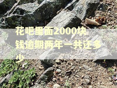 花吧里面2000块钱逾期两年一共还多少