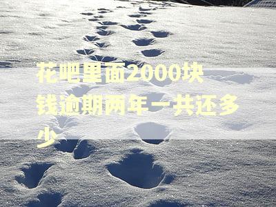 花吧里面2000块钱逾期两年一共还多少
