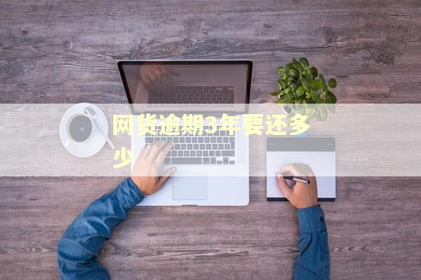 网货逾期3年要还多少
