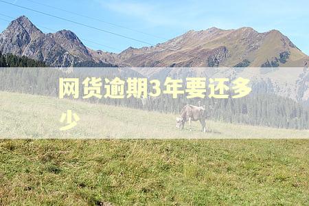 网货逾期3年要还多少 网货逾期3年要还多少