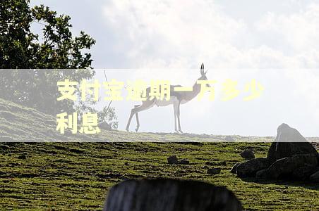 支付宝逾期一万多少利息