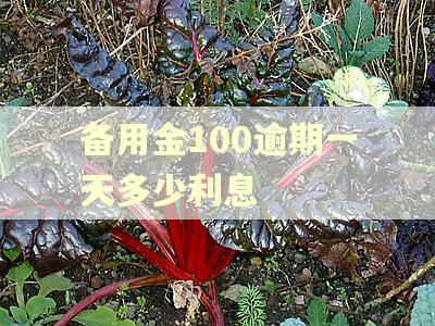 备用金100逾期一天多少利息