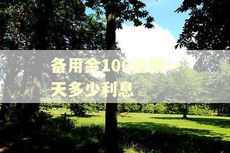 备用金100逾期一天多少利息