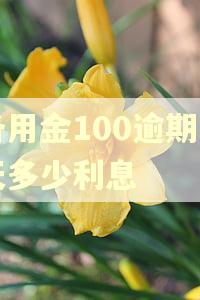 备用金100逾期一天多少利息