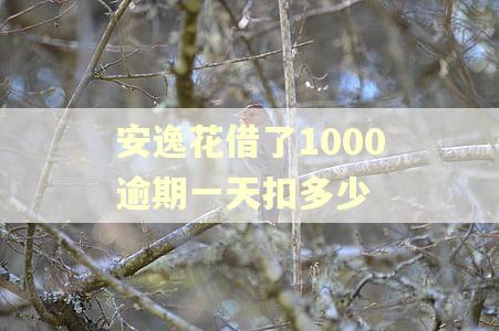 安逸花借了1000逾期一天扣多少