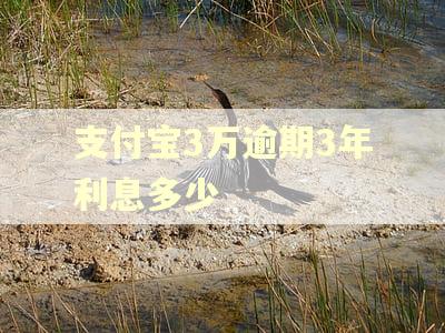 支付宝3万逾期3年利息多少