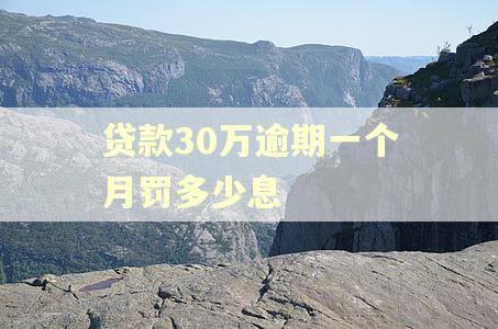 贷款30万逾期一个月罚多少息