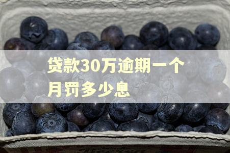 贷款30万逾期一个月罚多少息 贷款30万逾期一个月罚多少息