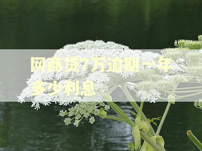 网商贷7万逾期一年多少利息