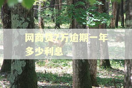 网商贷7万逾期一年多少利息 网商贷7万逾期一年多少利息