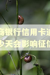 招商银行信用卡逾期多少天会影响征信
