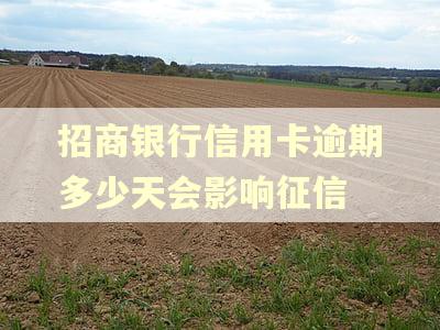 招商银行信用卡逾期多少天会影响征信
