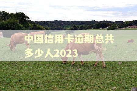 中国信用卡逾期总共多少人2023