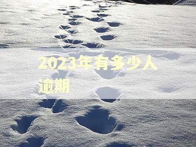 2023年有多少人逾期