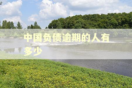 中国负债逾期的人有多少