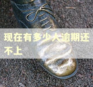 现在有多少人逾期还不上