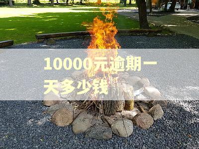 10000元逾期一天多少钱 10000元逾期一天多少钱