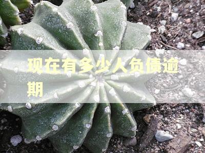现在有多少人负债逾期